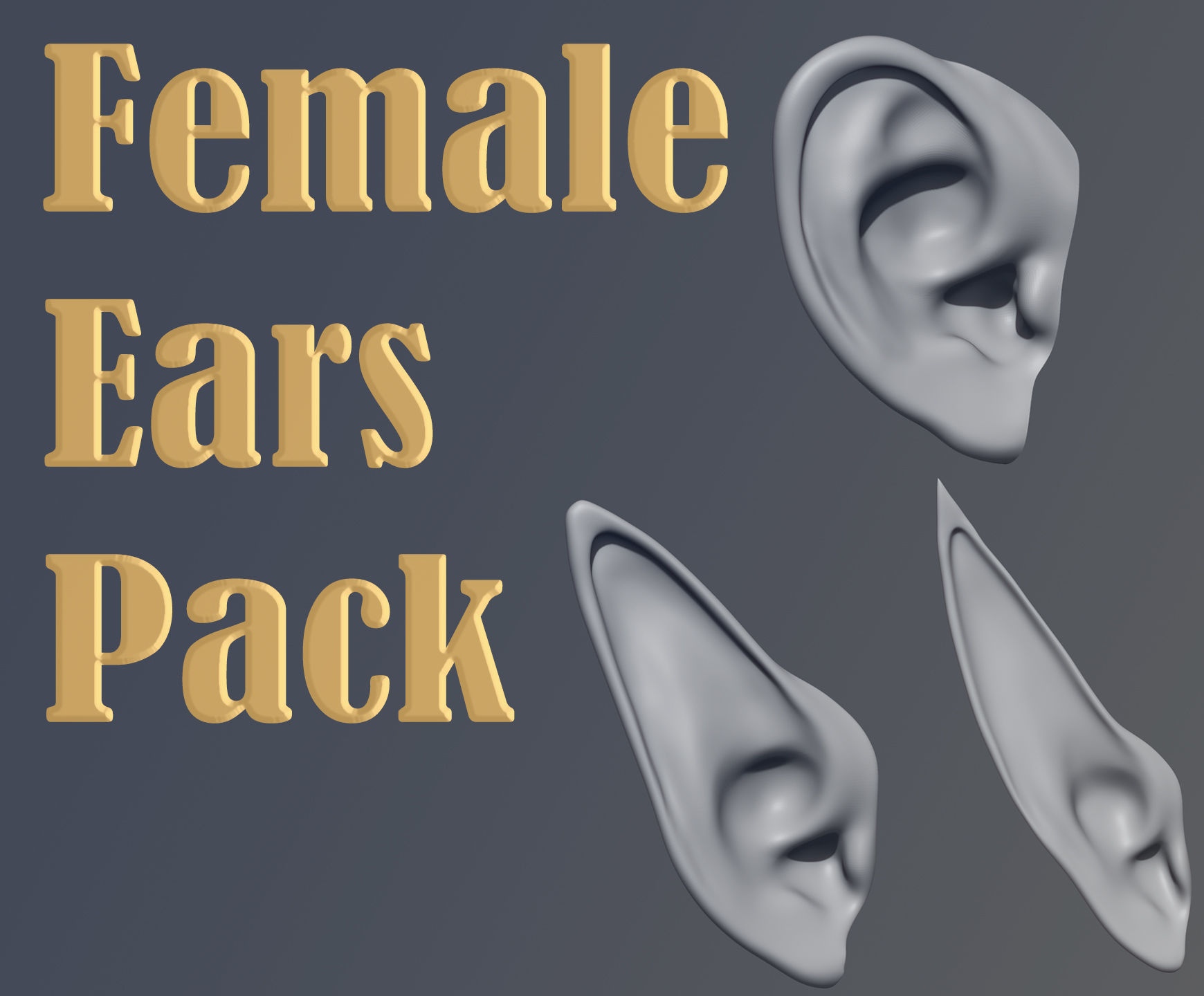 Full Female Head Pack 3D model_1