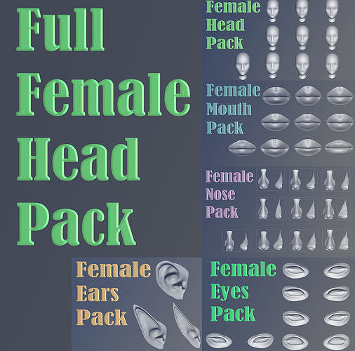 Full Female Head Pack 3D model