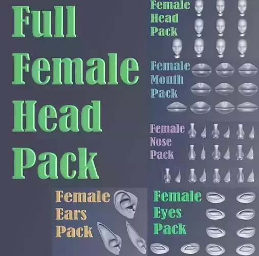 Full Female Head Pack 3D model