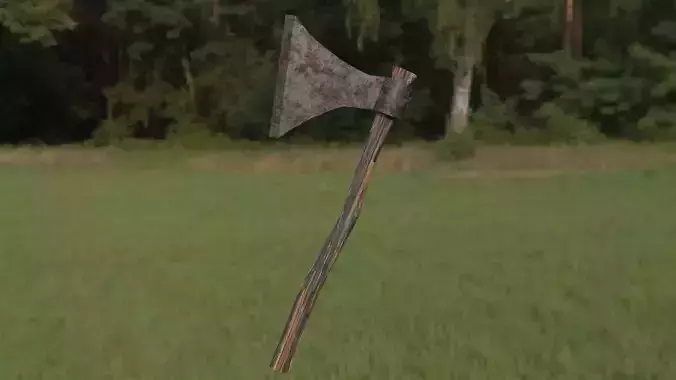 Handaxe axe in middle of field