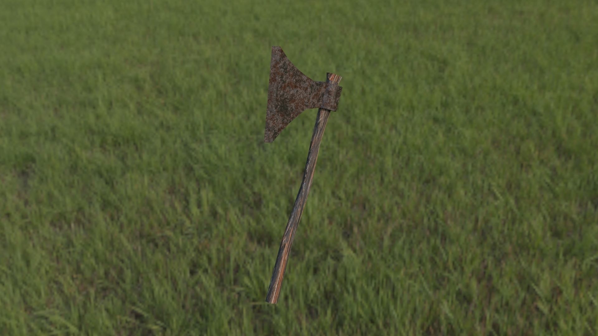 Handaxe axe in middle of field 3D model_1