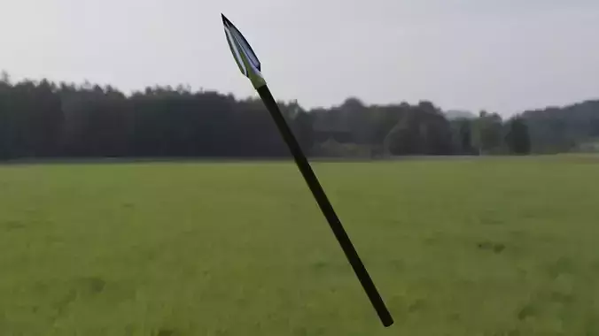 Javelin spear in middle of field