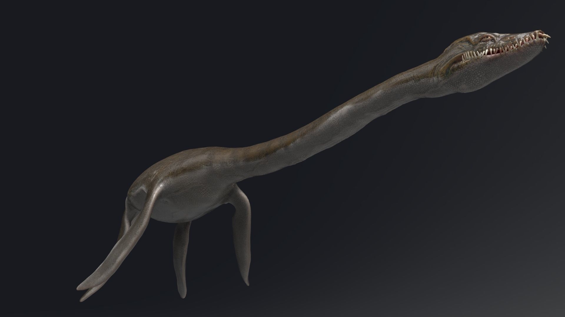Dinosaur  Styxosaurus Model 27 Animations UNITY - UNREAL ENGINE Low-poly 3D model_16