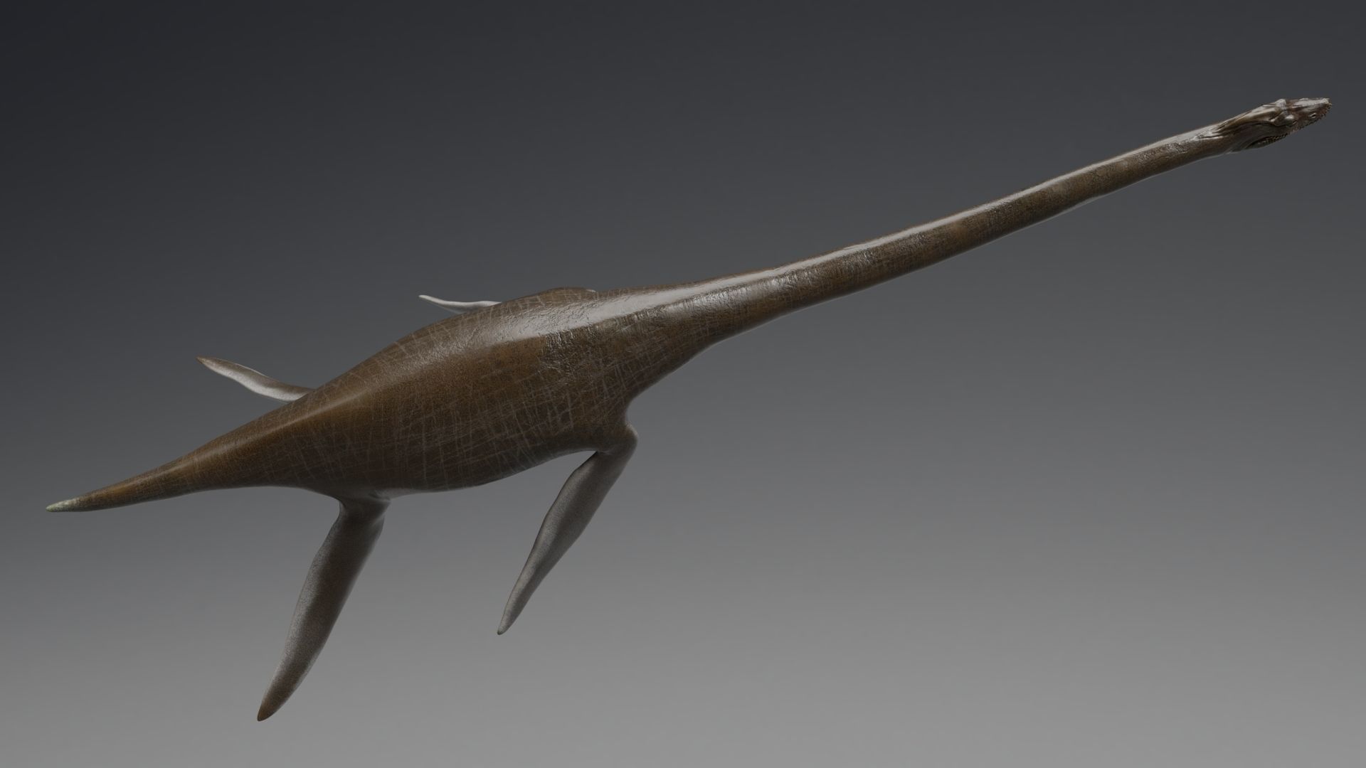 Dinosaur  Styxosaurus Model 27 Animations UNITY - UNREAL ENGINE Low-poly 3D model_10