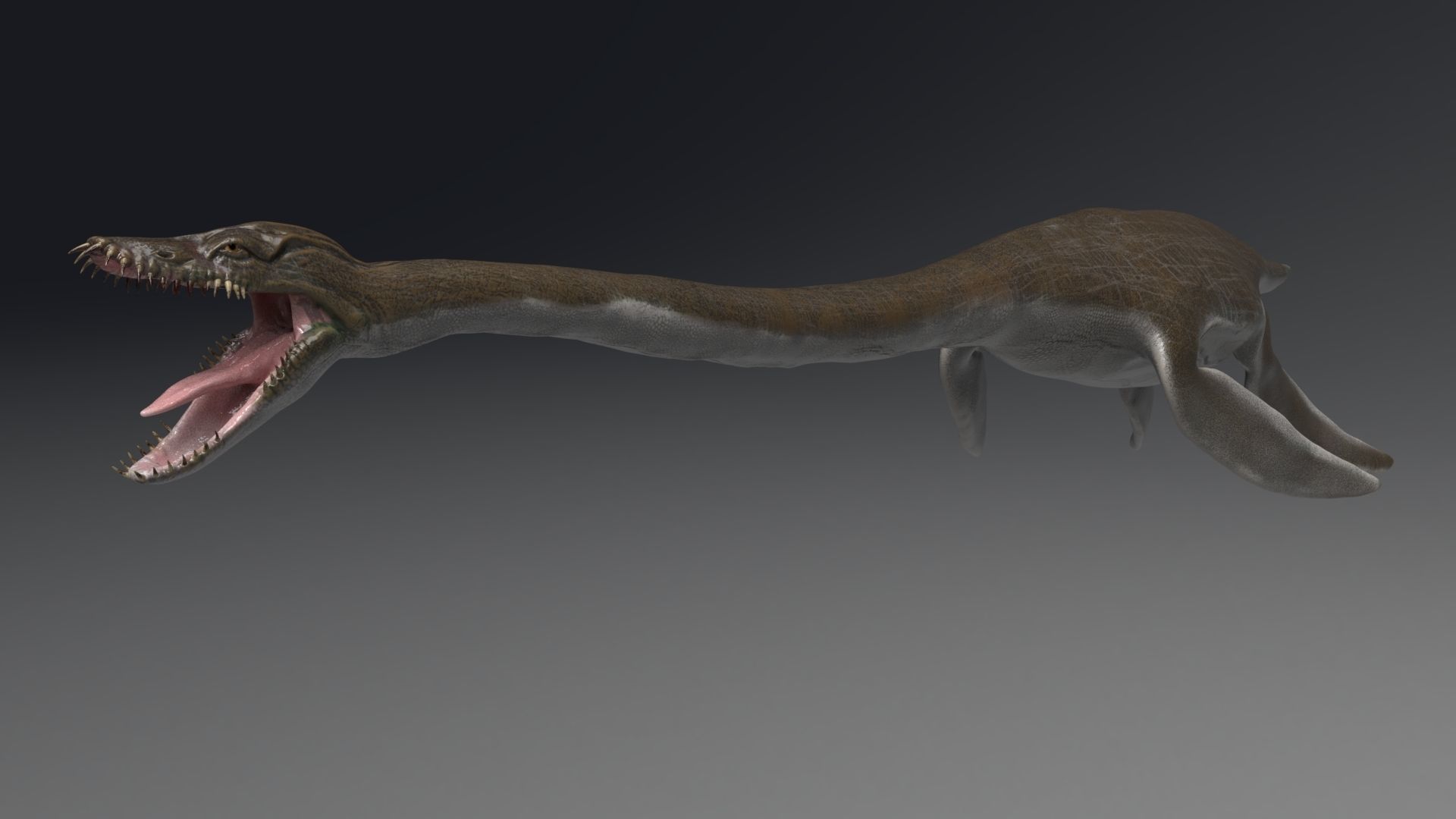 Dinosaur  Styxosaurus Model 27 Animations UNITY - UNREAL ENGINE Low-poly 3D model_12