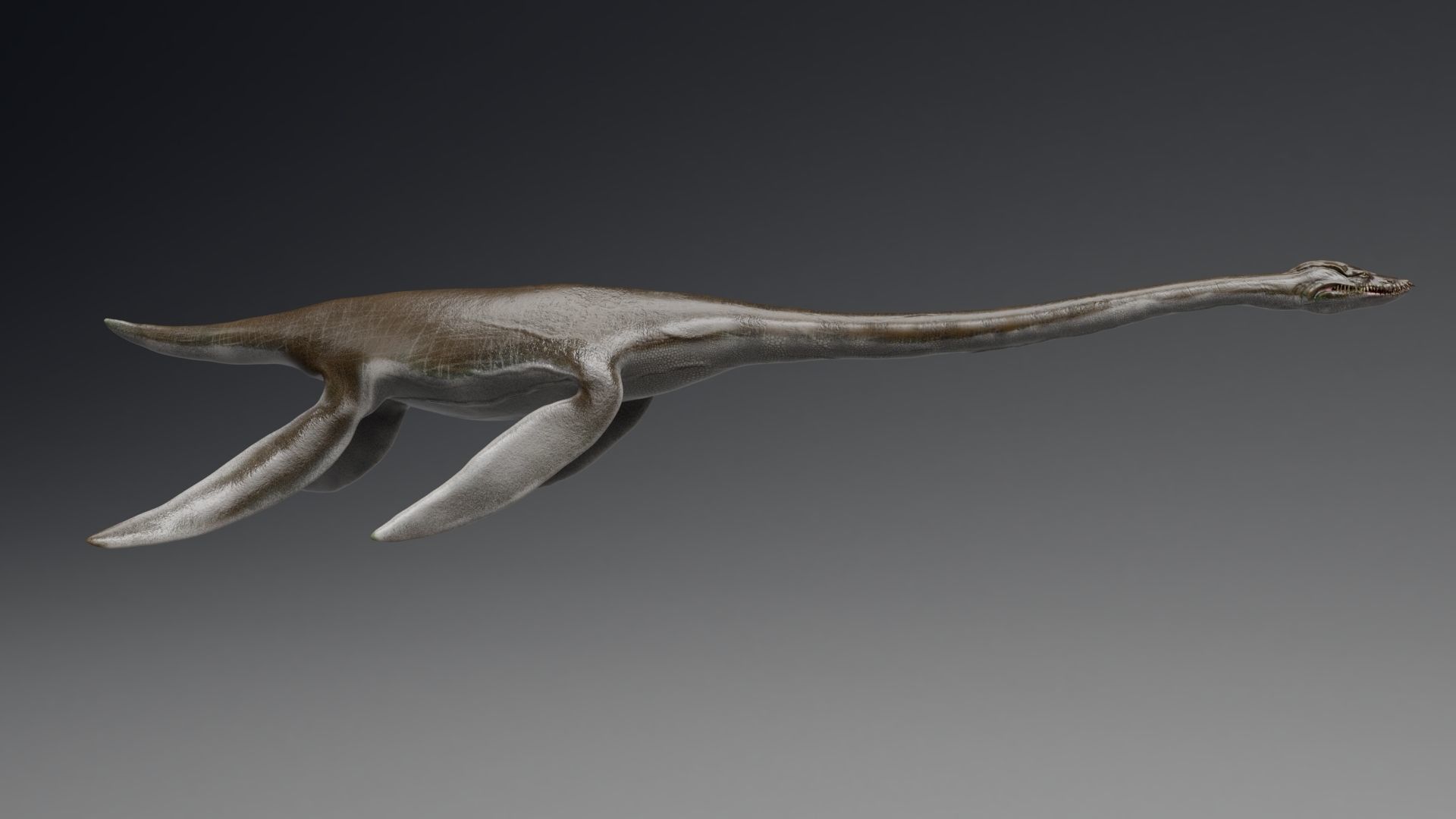Dinosaur  Styxosaurus Model 27 Animations UNITY - UNREAL ENGINE Low-poly 3D model_8