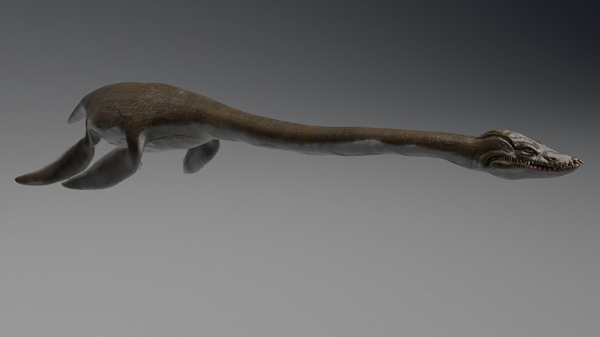 Dinosaur  Styxosaurus Model 27 Animations UNITY - UNREAL ENGINE Low-poly 3D model_4