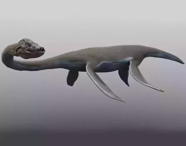 Styxosaurus Model 27 Animations UNITY - UNREAL ENGINE Low-poly 3D model