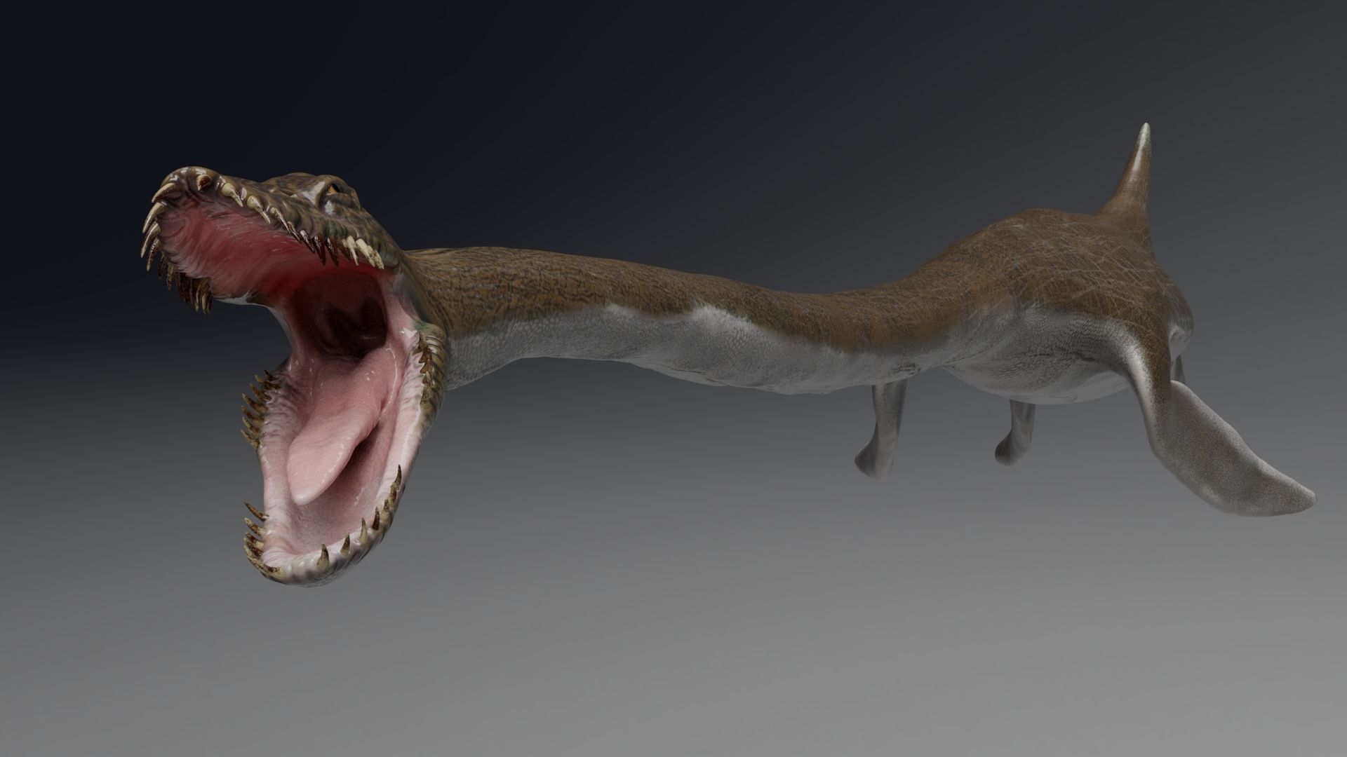 Dinosaur  Styxosaurus Model 27 Animations UNITY - UNREAL ENGINE Low-poly 3D model_13