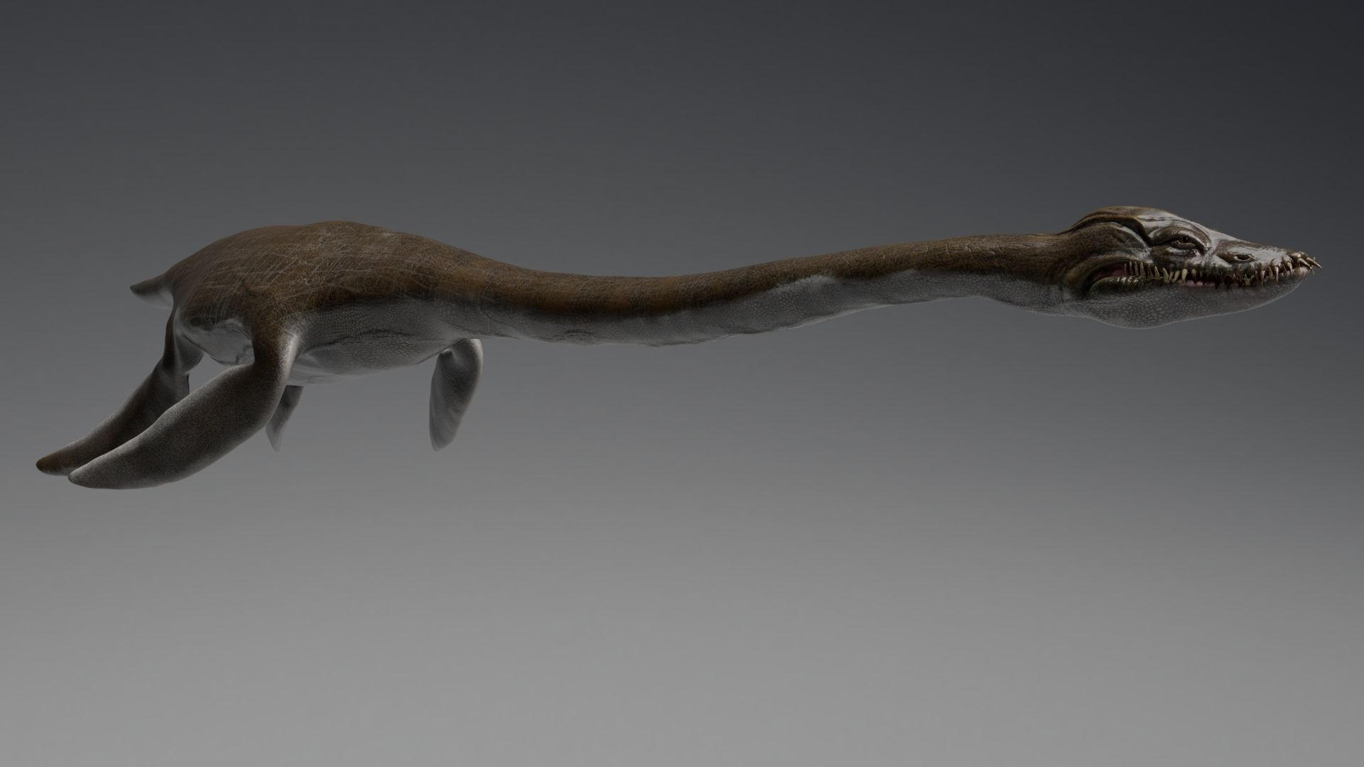 Dinosaur  Styxosaurus Model 27 Animations UNITY - UNREAL ENGINE Low-poly 3D model_11