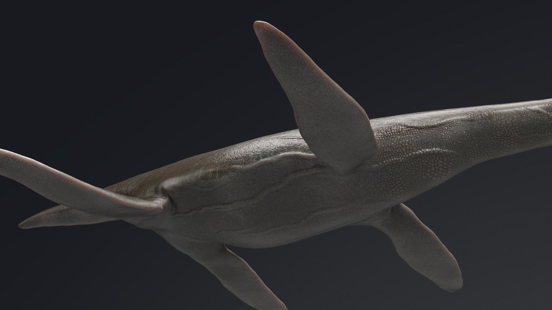 Dinosaur  Styxosaurus Model 27 Animations UNITY - UNREAL ENGINE Low-poly 3D model_18