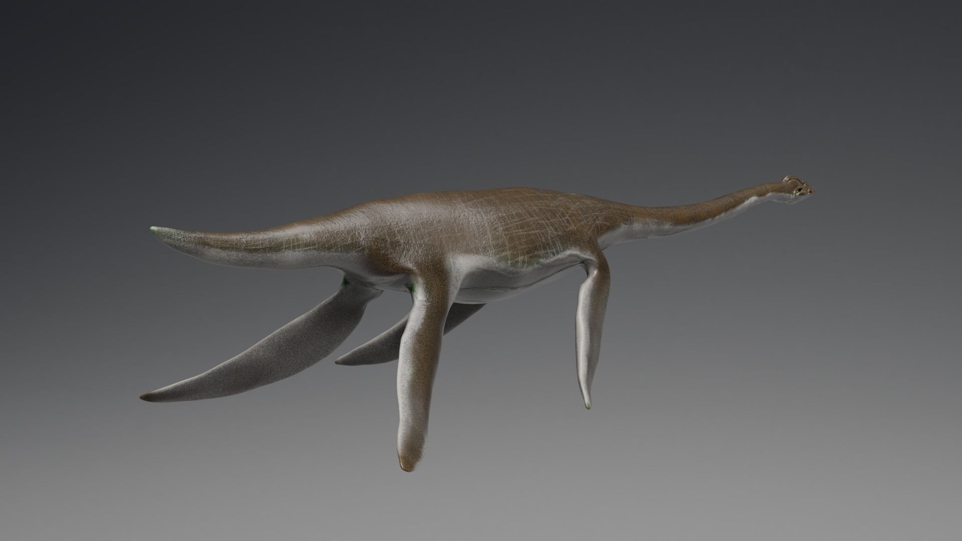 Dinosaur  Styxosaurus Model 27 Animations UNITY - UNREAL ENGINE Low-poly 3D model_9