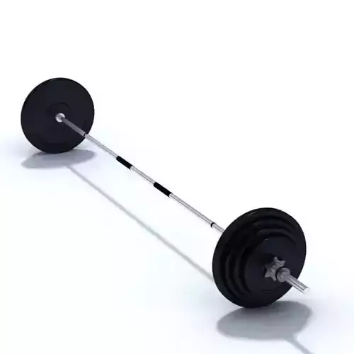 Equipment Dumbbell Home Gym 3D model