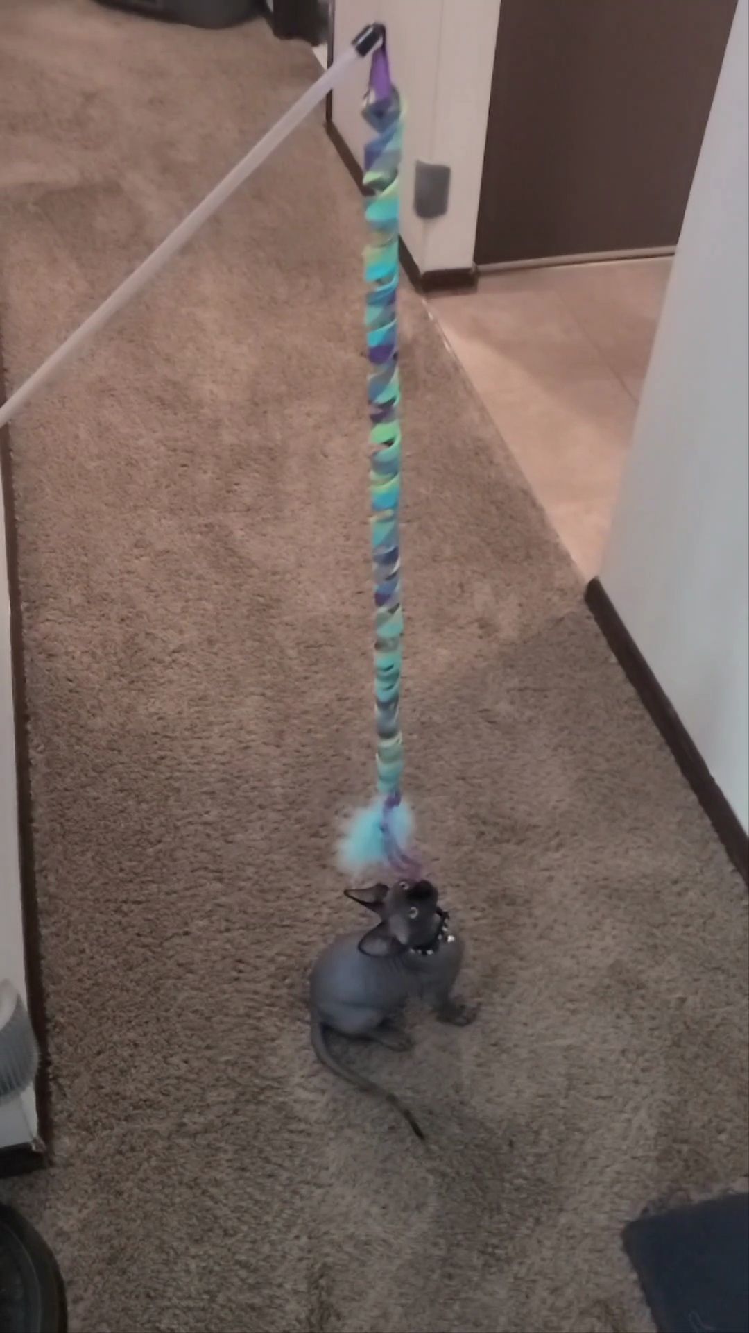 Cat Toy Wall Mount for Stick Type Cat Toys 3D print model_8