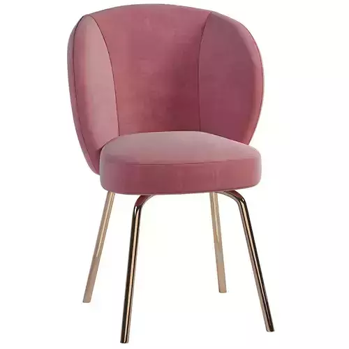 Dining chair modern