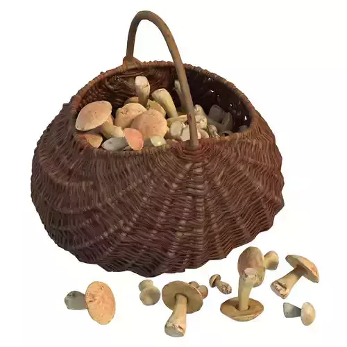 150 Basket of mushrooms