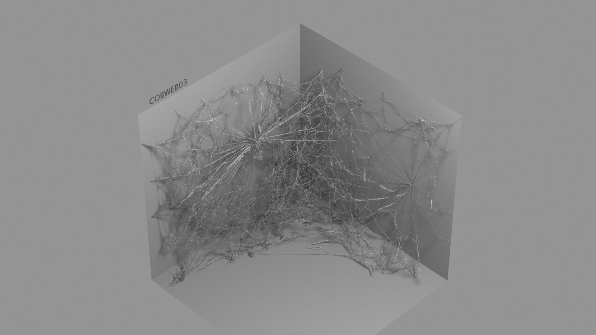 Cobwebs Collection open door with spider webs 3D model_42