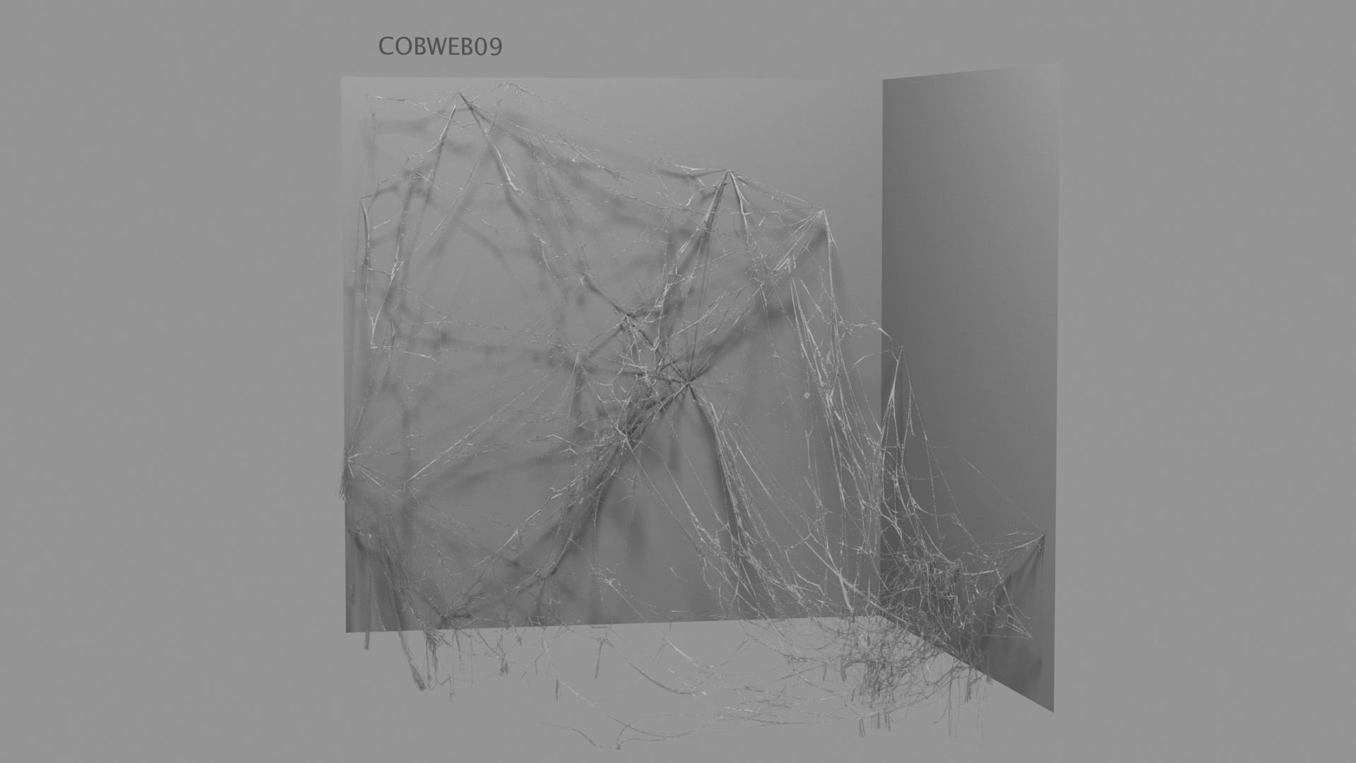 Cobwebs Collection open door with spider webs 3D model_60