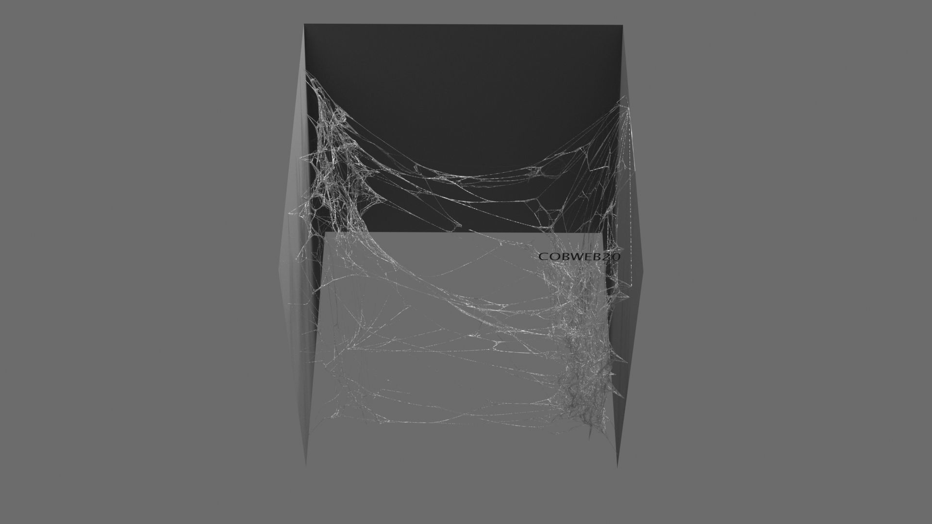 Cobwebs Collection open door with spider webs 3D model_36