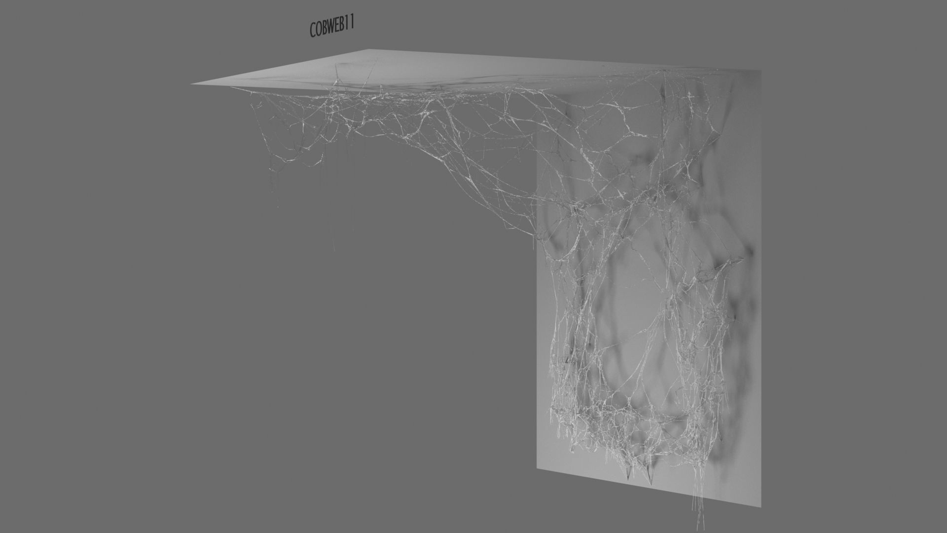 Cobwebs Collection open door with spider webs 3D model_7