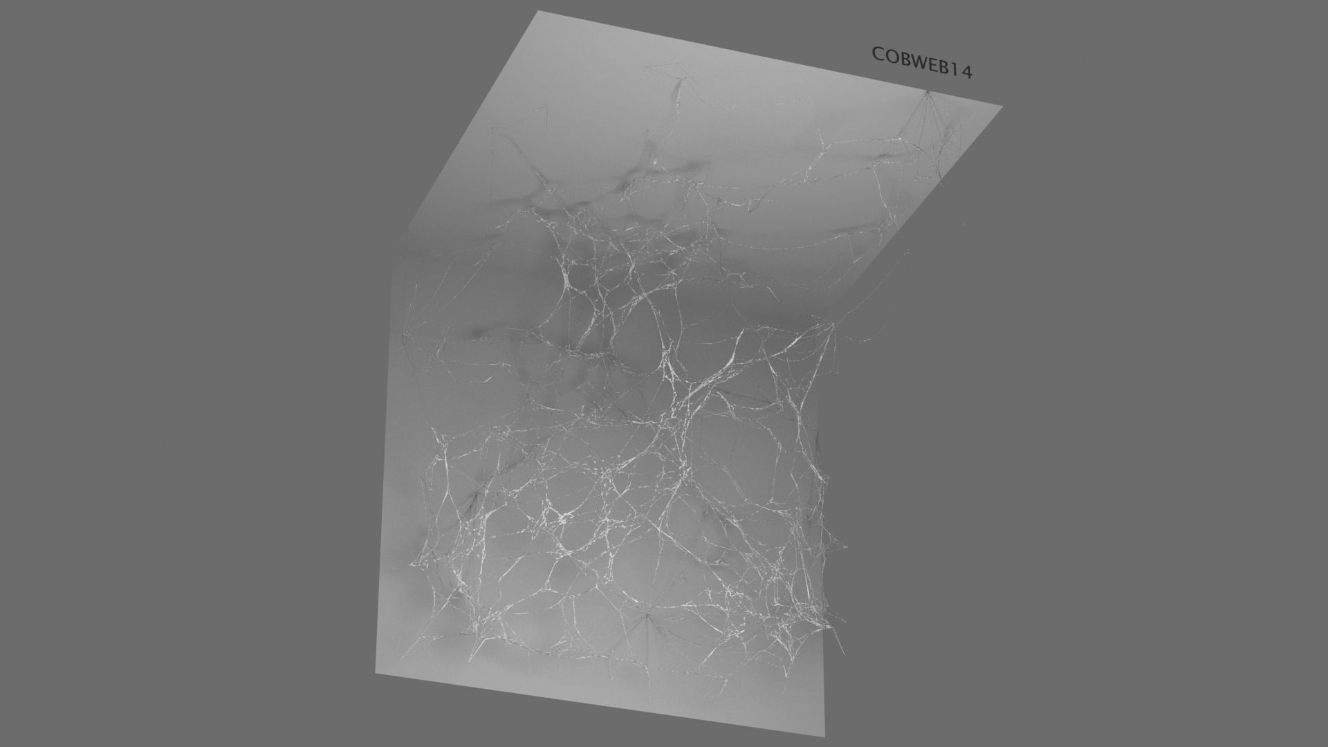 Cobwebs Collection open door with spider webs 3D model_15