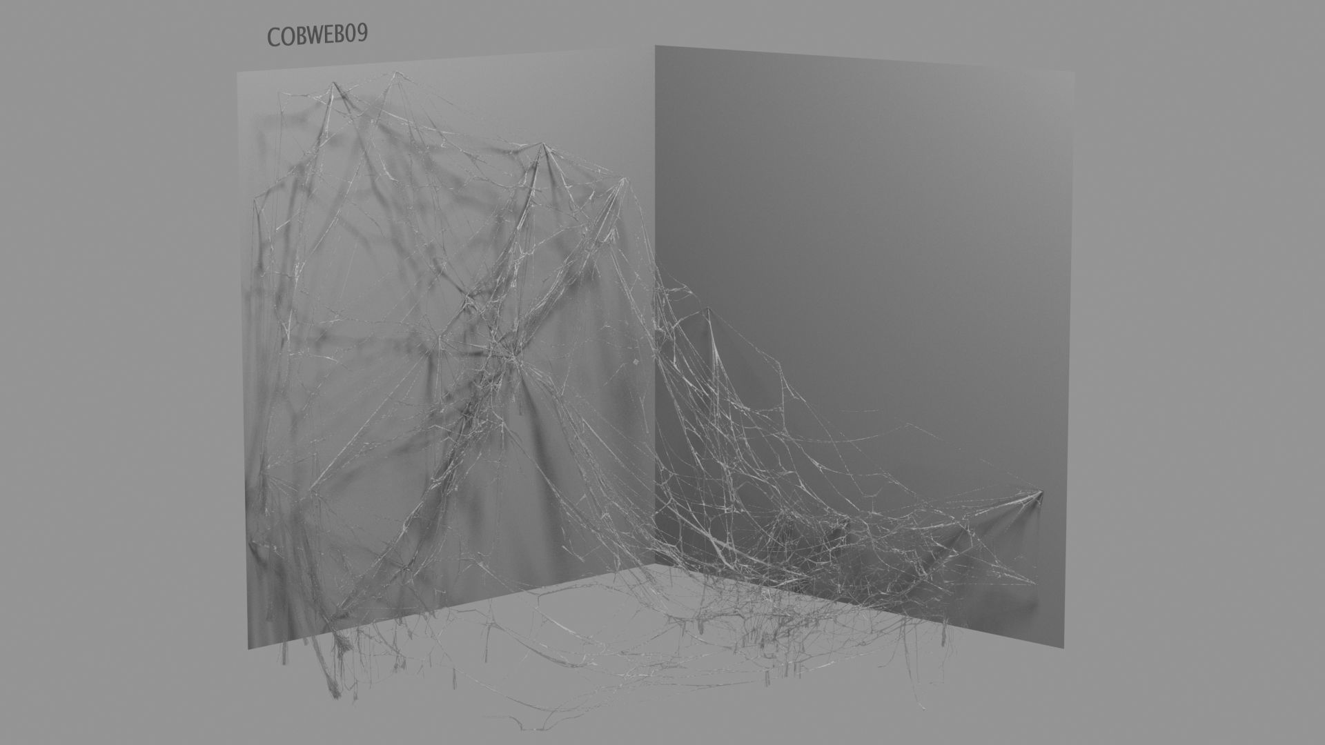 Cobwebs Collection open door with spider webs 3D model_58