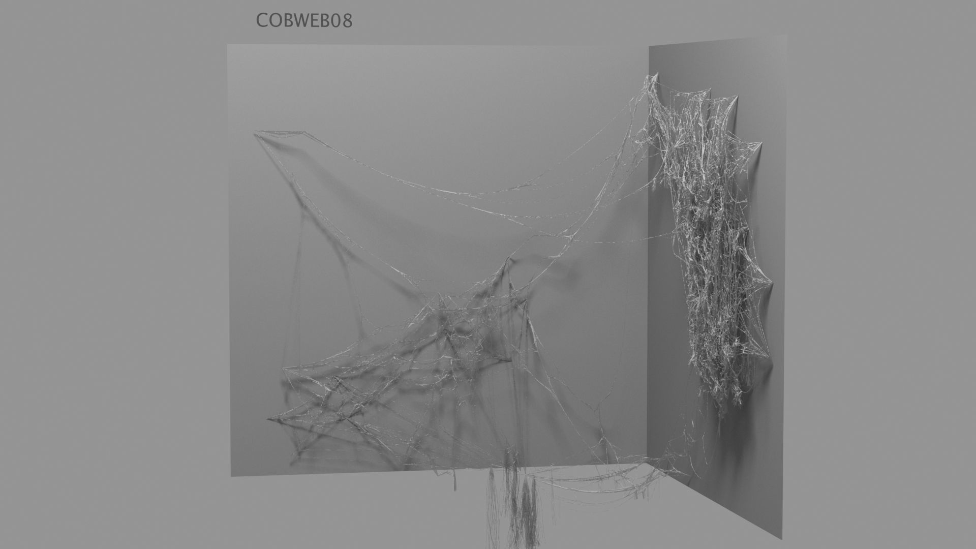 Cobwebs Collection open door with spider webs 3D model_57