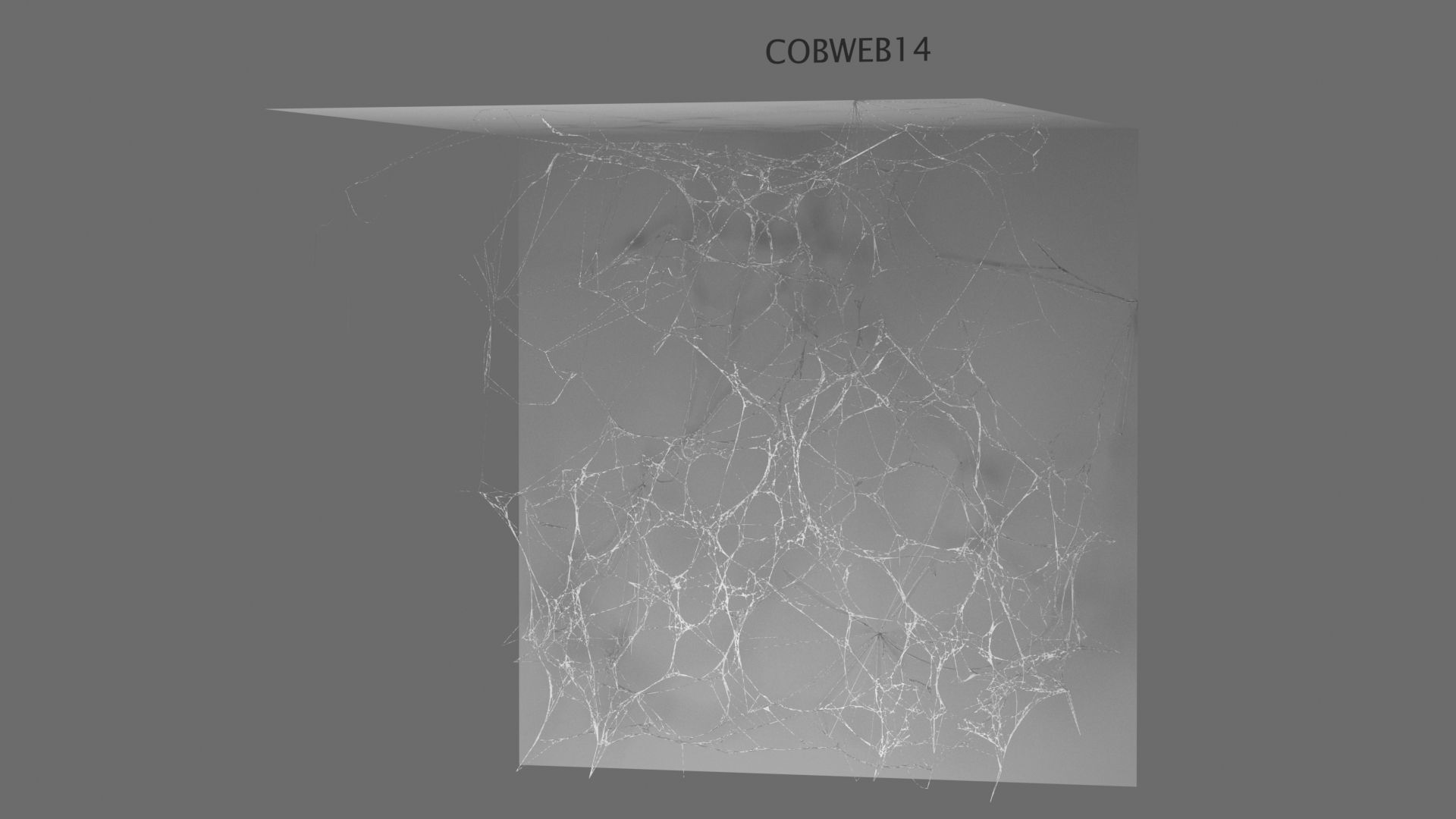 Cobwebs Collection open door with spider webs 3D model_14