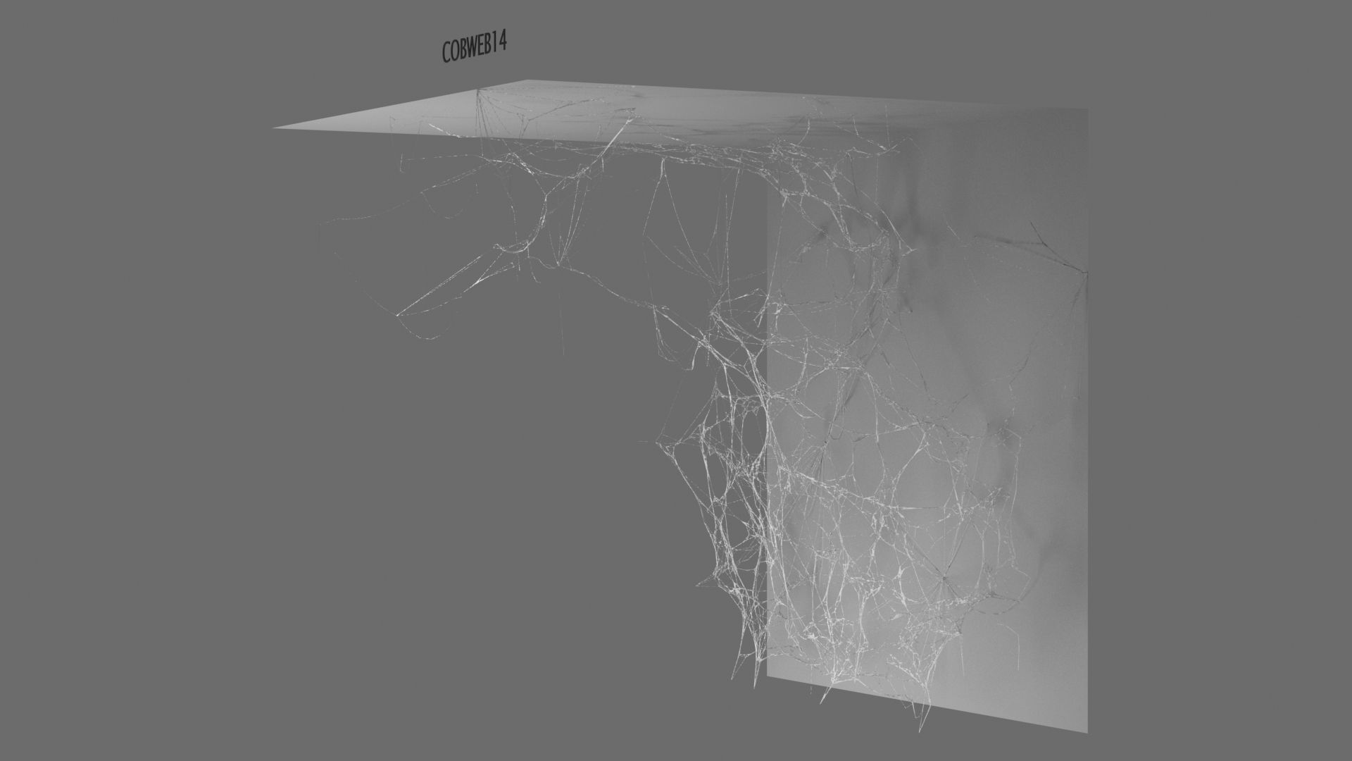 Cobwebs Collection open door with spider webs 3D model_16