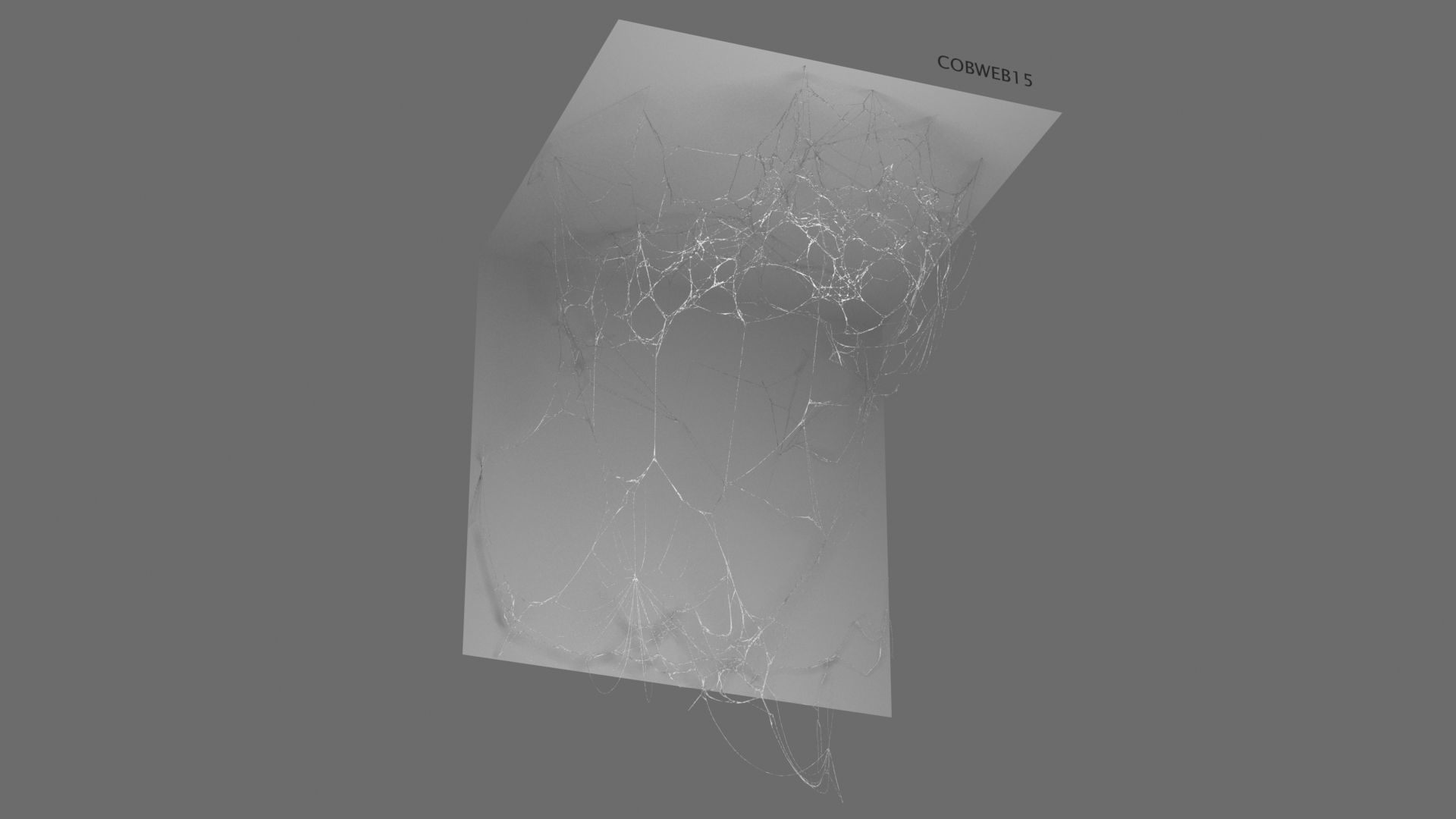 Cobwebs Collection open door with spider webs 3D model_18