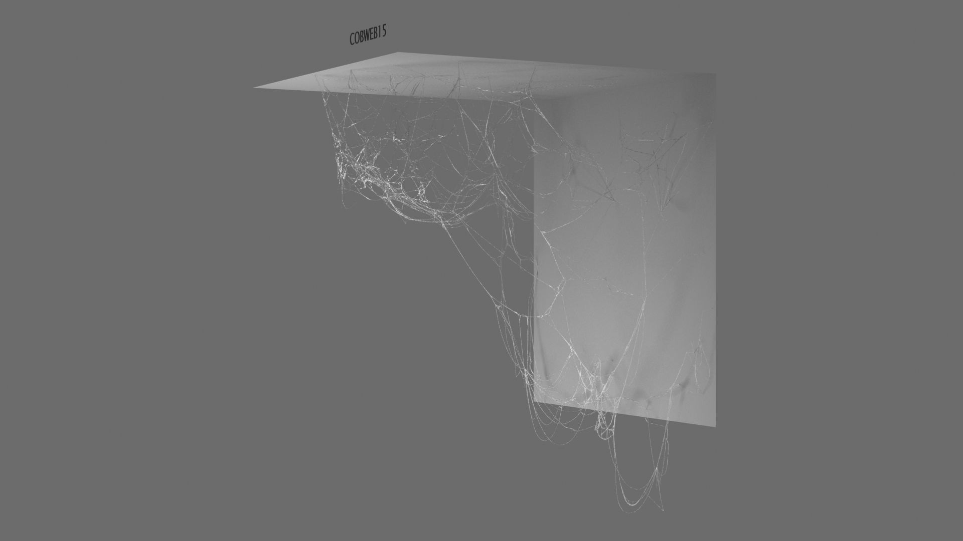 Cobwebs Collection open door with spider webs 3D model_19