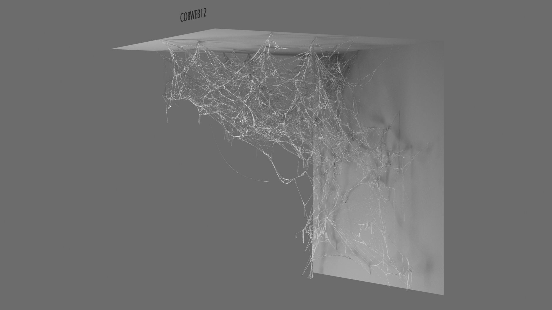 Cobwebs Collection open door with spider webs 3D model_10