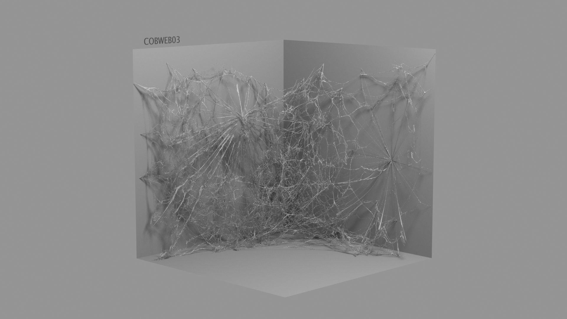 Cobwebs Collection open door with spider webs 3D model_41