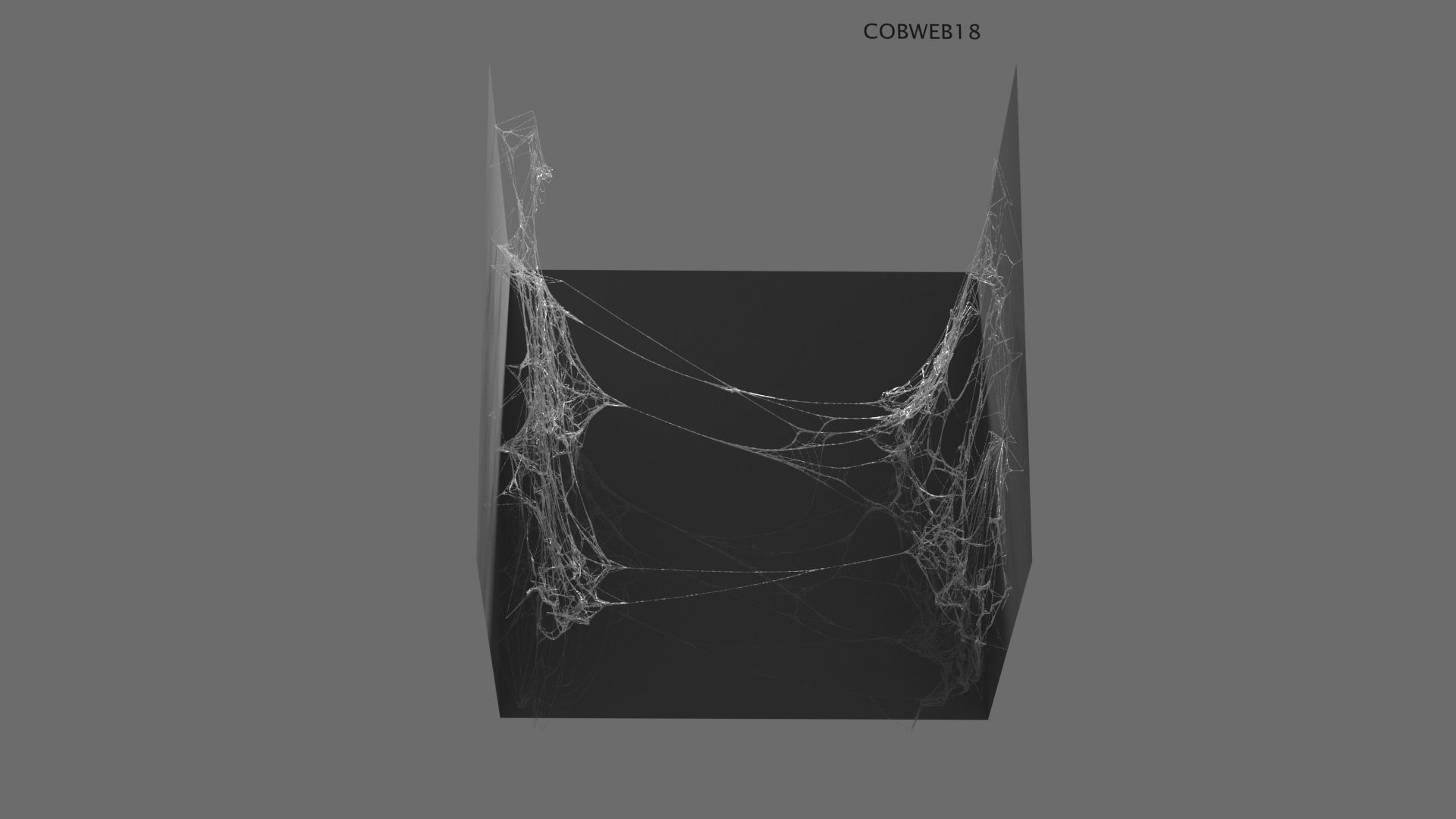 Cobwebs Collection open door with spider webs 3D model_28