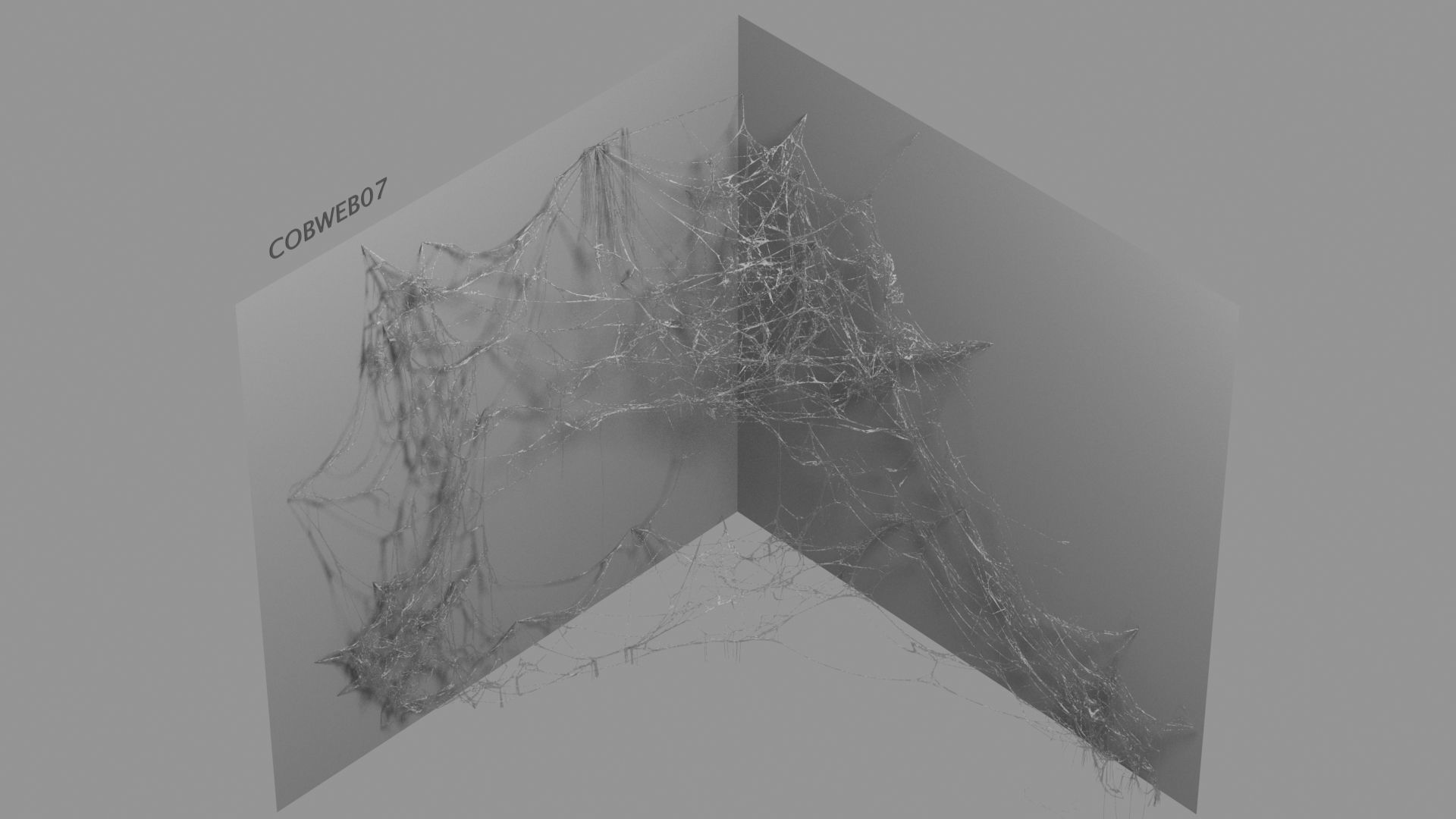 Cobwebs Collection open door with spider webs 3D model_53