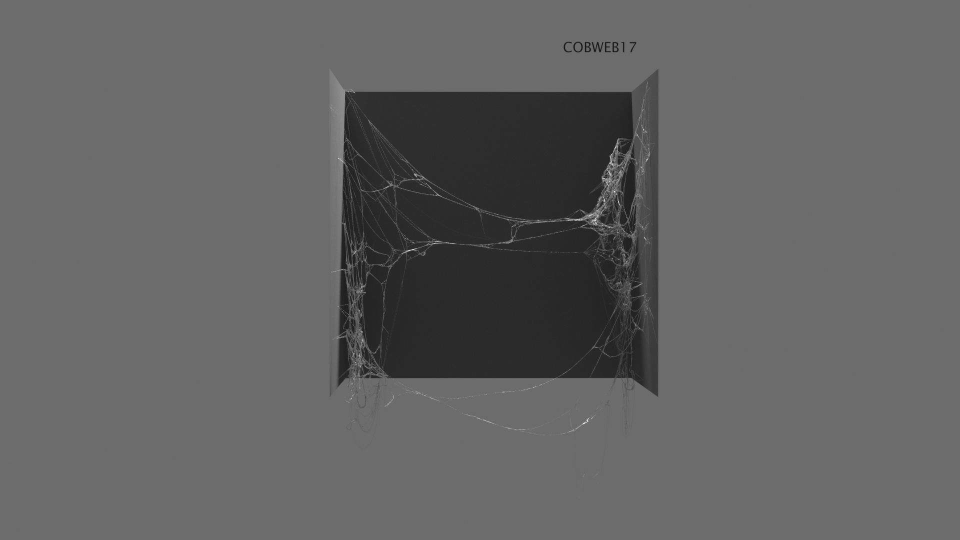 Cobwebs Collection open door with spider webs 3D model_23