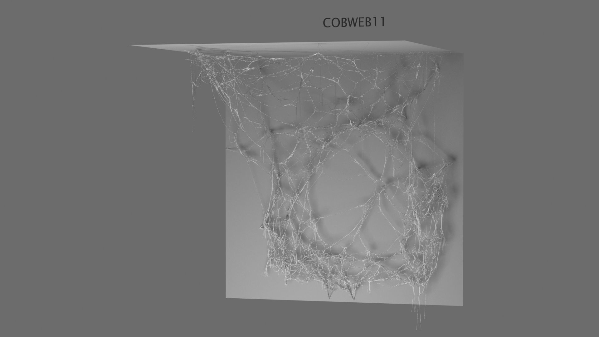Cobwebs Collection open door with spider webs 3D model_5