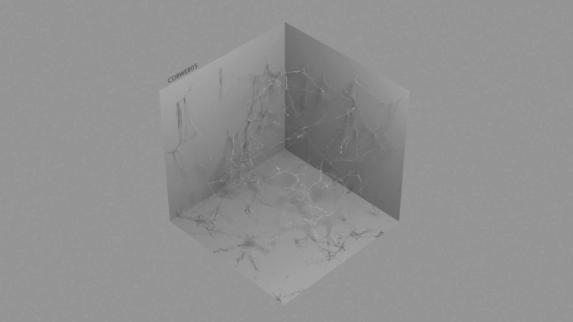 Cobwebs Collection open door with spider webs 3D model_48