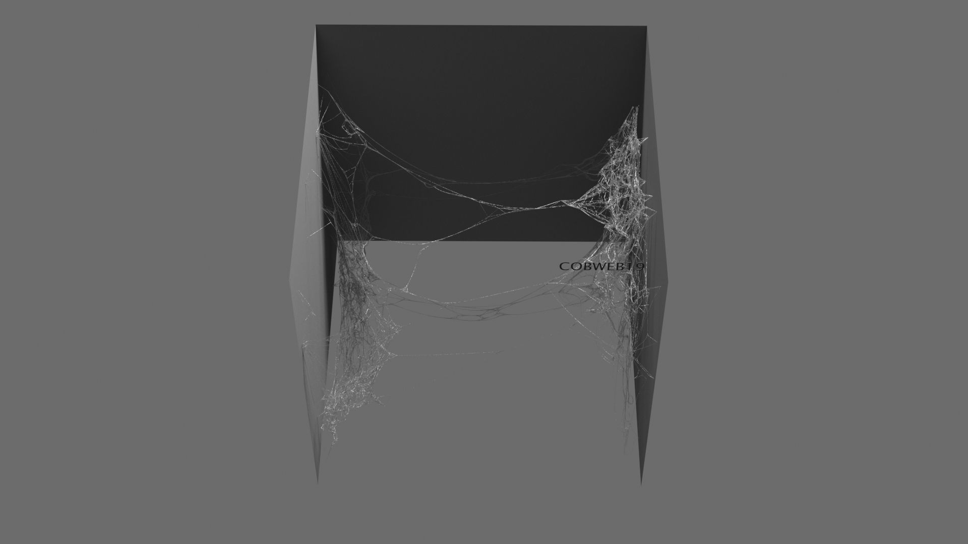 Cobwebs Collection open door with spider webs 3D model_30