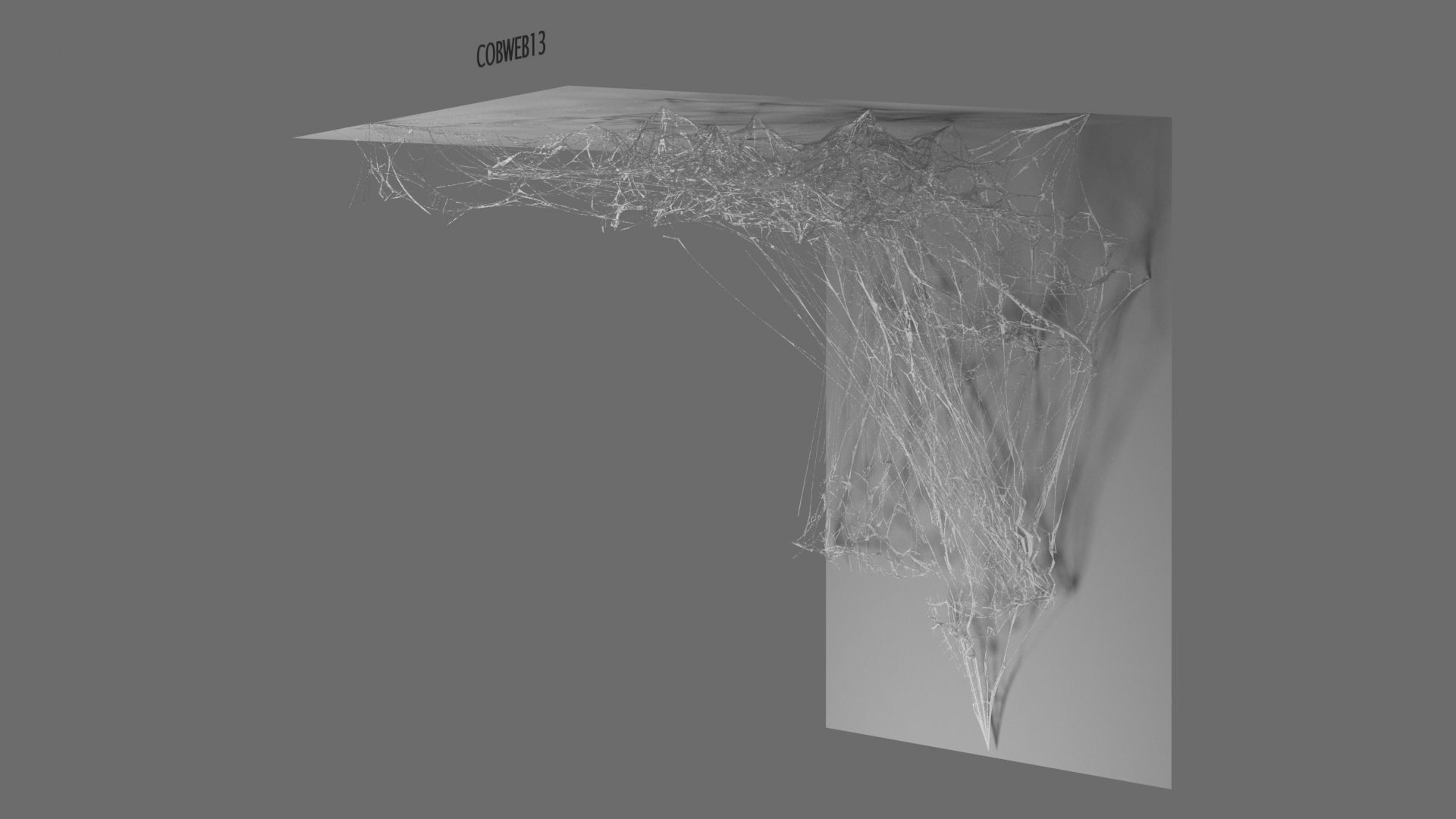 Cobwebs Collection open door with spider webs 3D model_13
