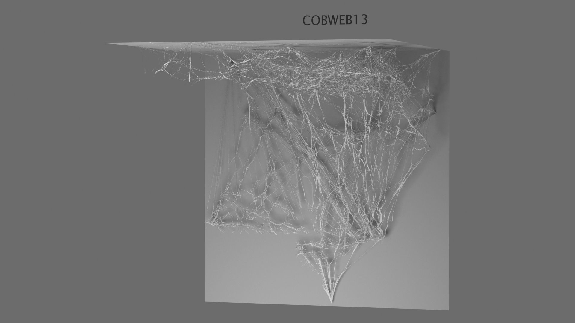 Cobwebs Collection open door with spider webs 3D model_11
