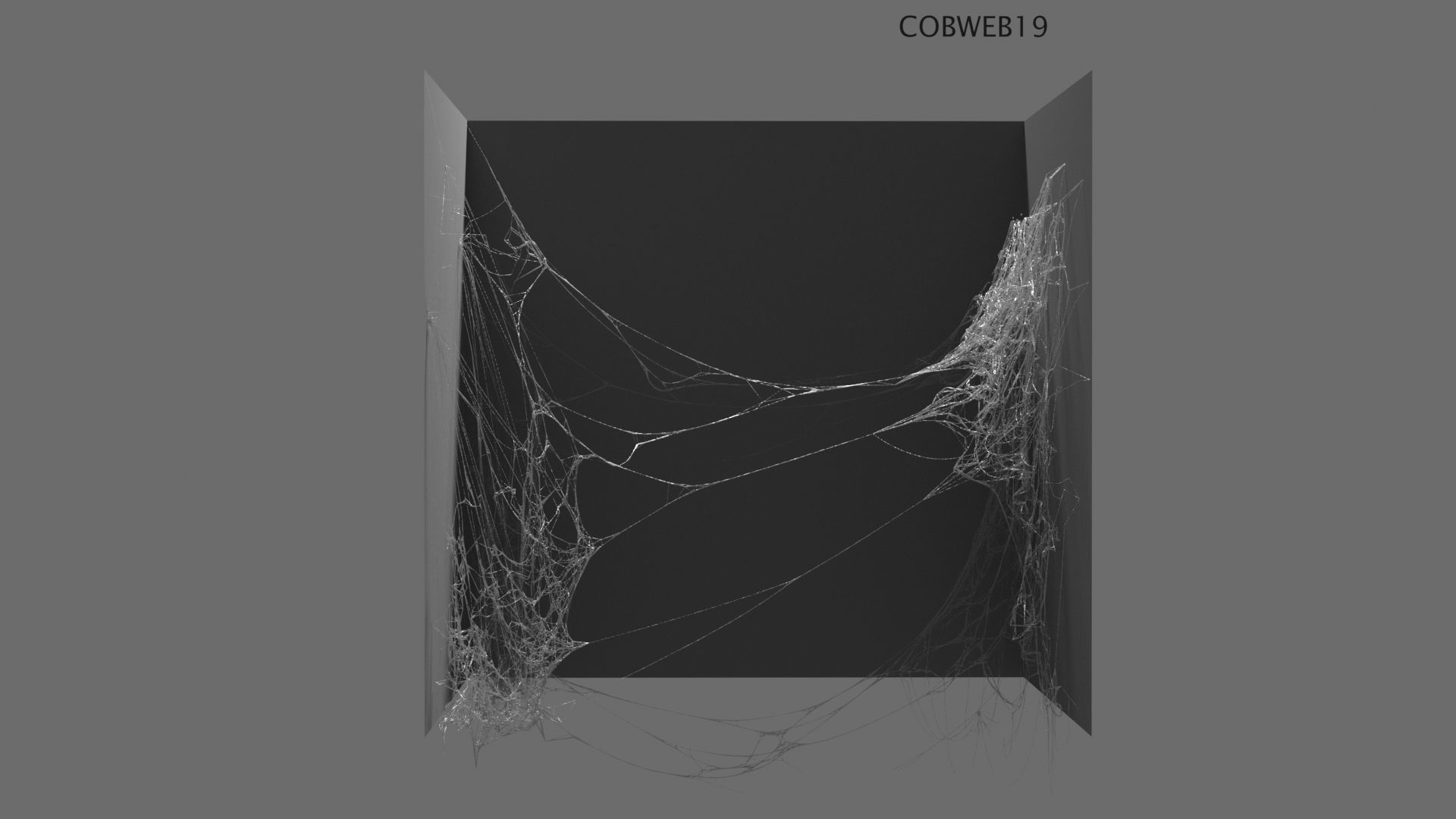 Cobwebs Collection open door with spider webs 3D model_29