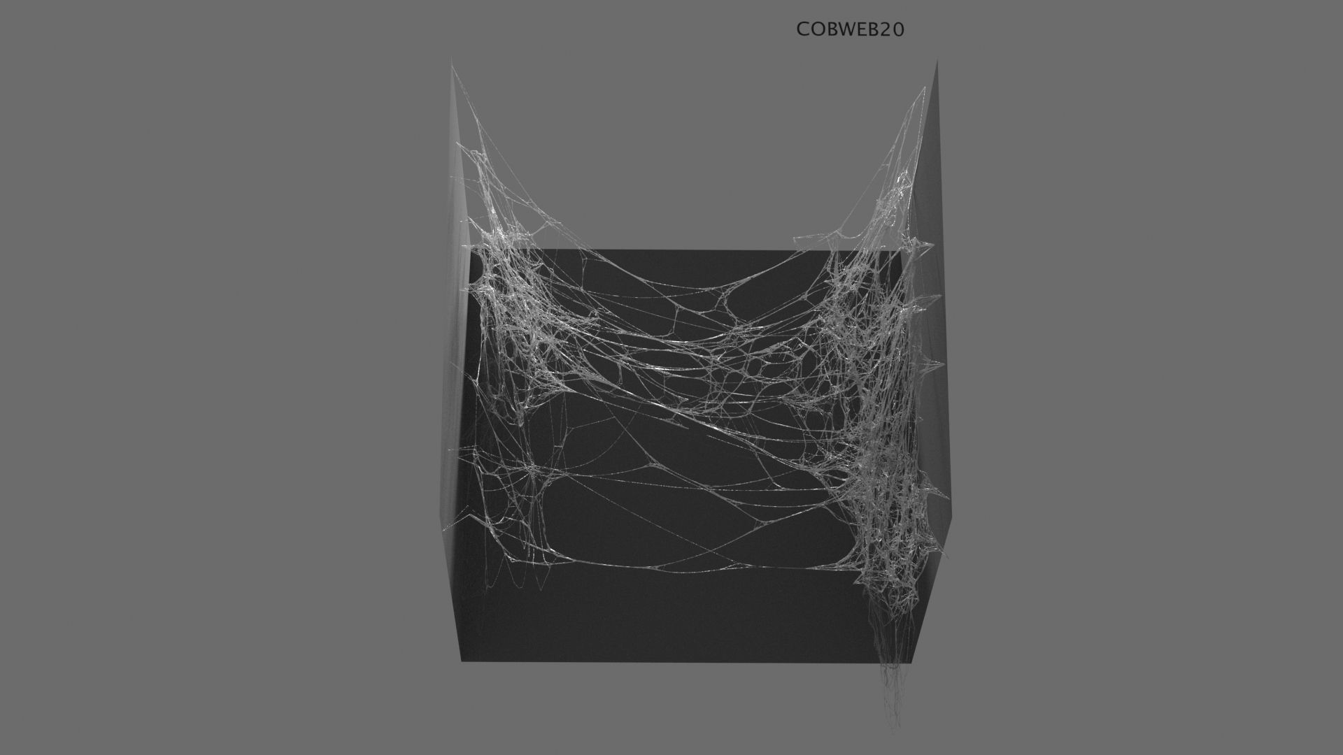 Cobwebs Collection open door with spider webs 3D model_37