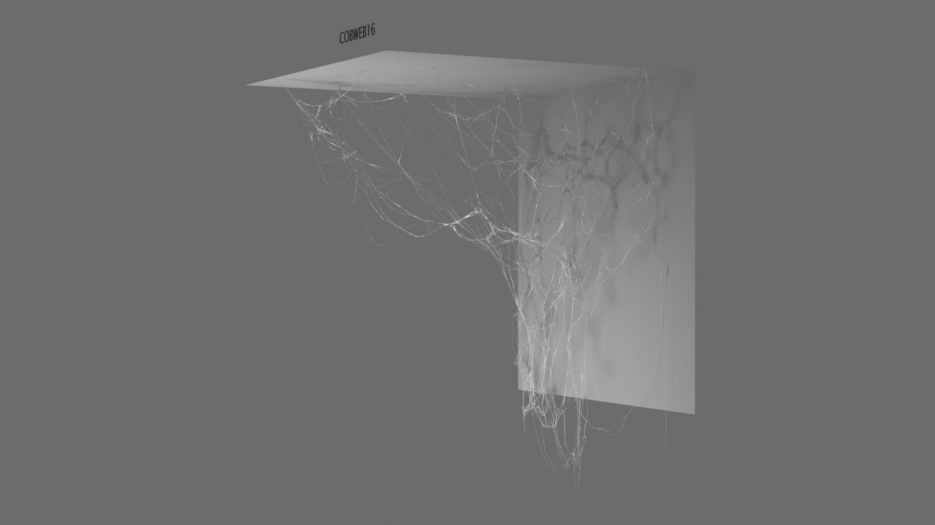 Cobwebs Collection open door with spider webs 3D model_22