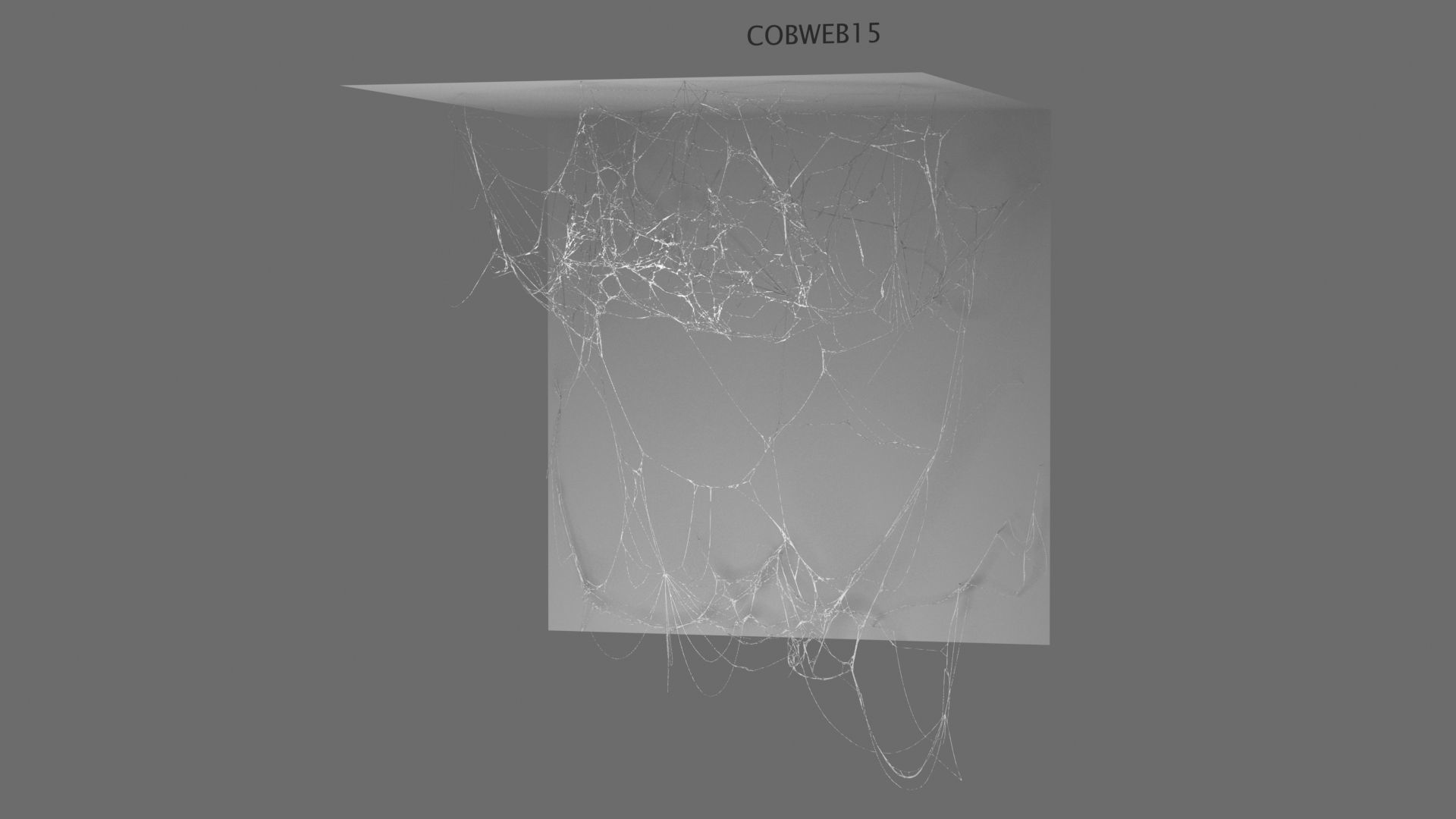 Cobwebs Collection open door with spider webs 3D model_17