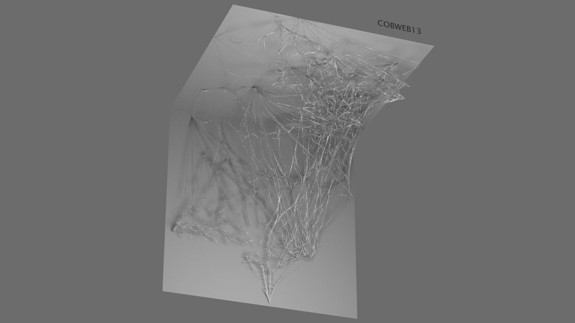 Cobwebs Collection open door with spider webs 3D model_12