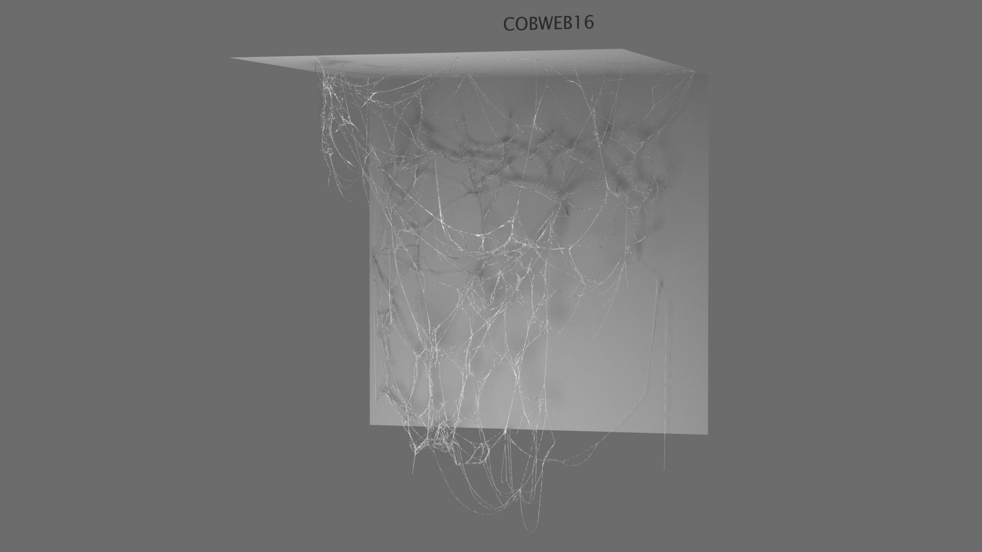 Cobwebs Collection open door with spider webs 3D model_20