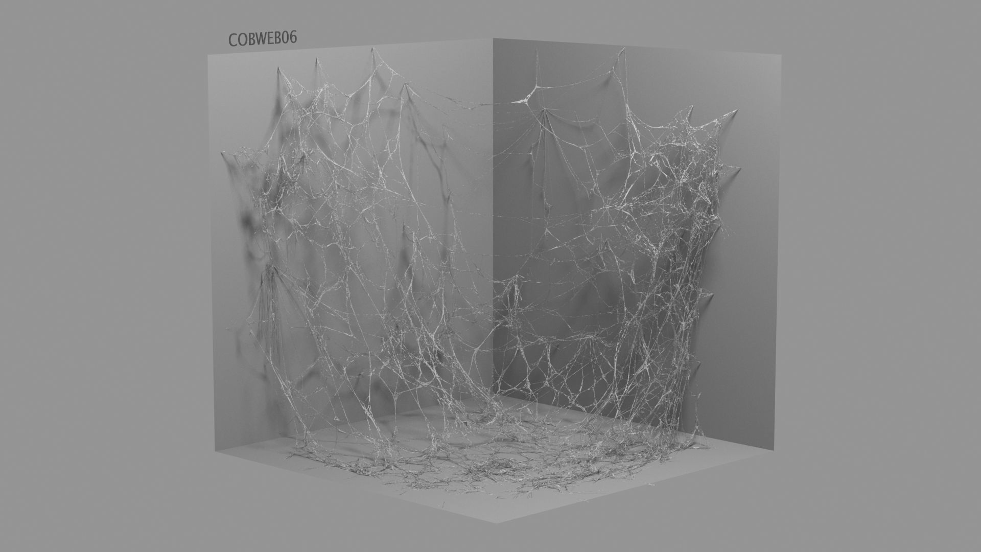 Cobwebs Collection open door with spider webs 3D model_50