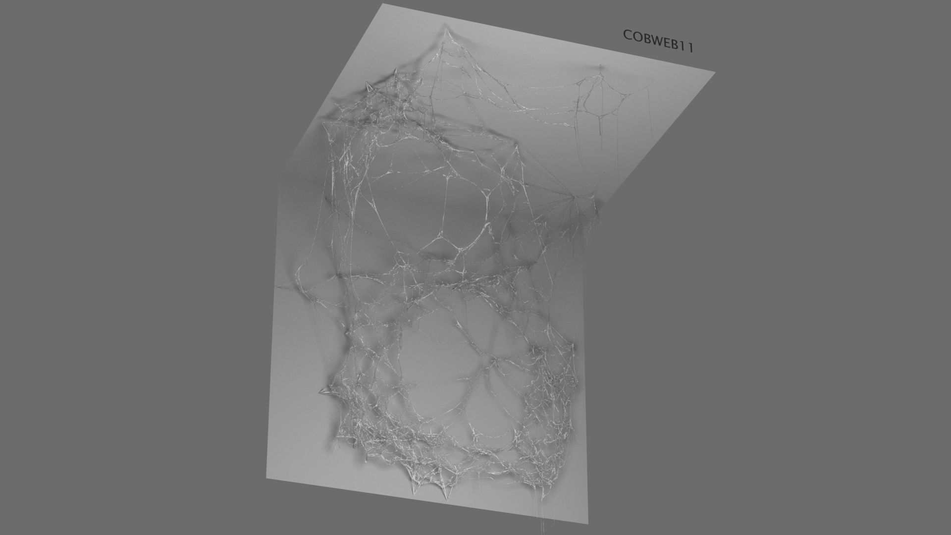 Cobwebs Collection open door with spider webs 3D model_6