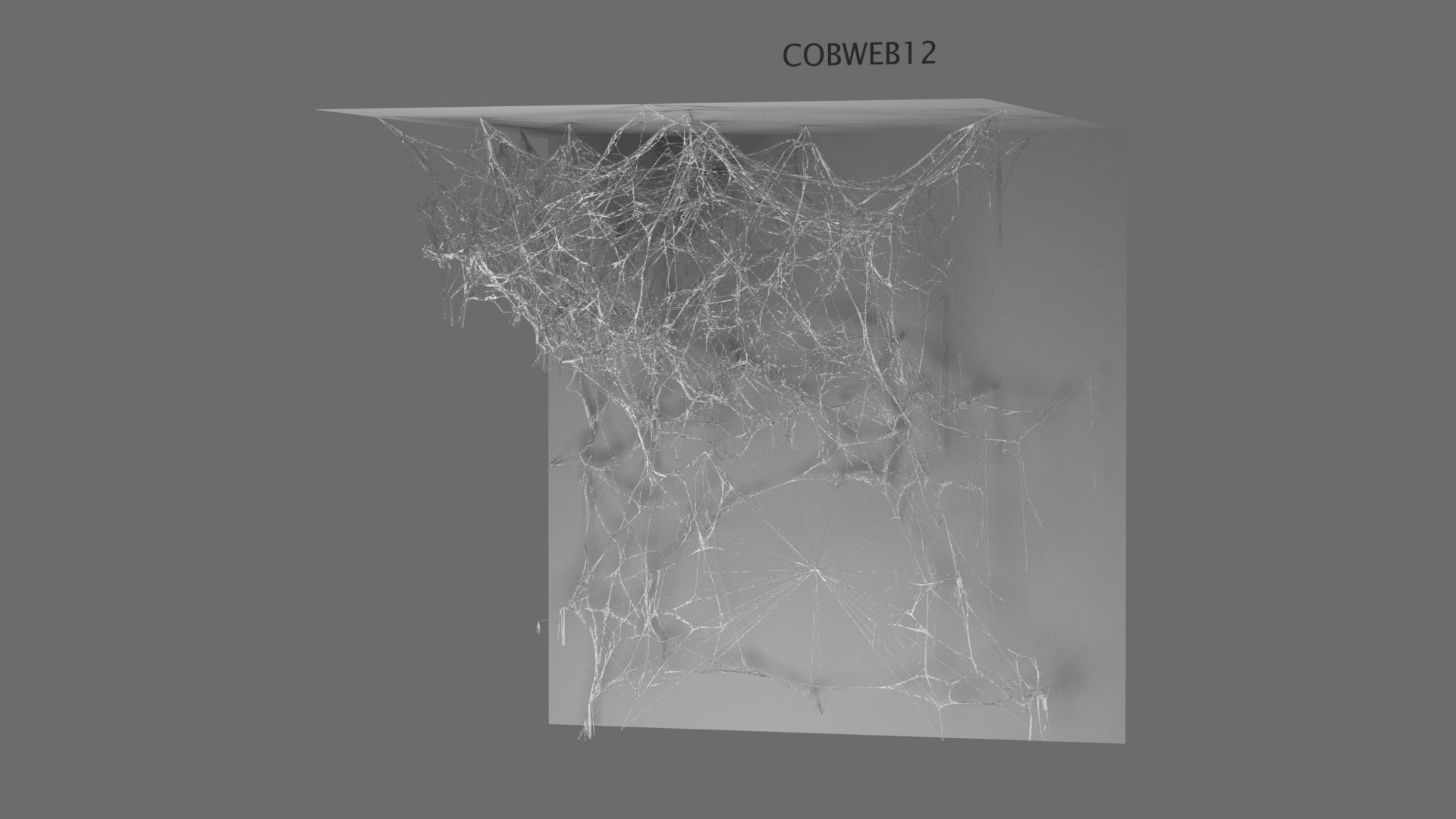 Cobwebs Collection open door with spider webs 3D model_8